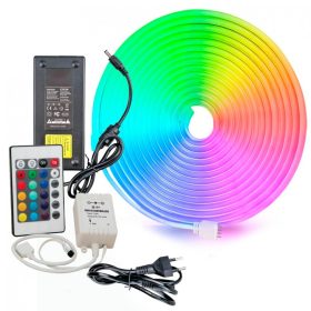 Tira Neon LED RGB con Control 12v